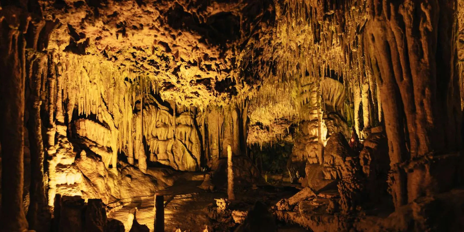Caves of Hams dense stalactite and stalagmite formations bathed in warm golden light — Mallorca